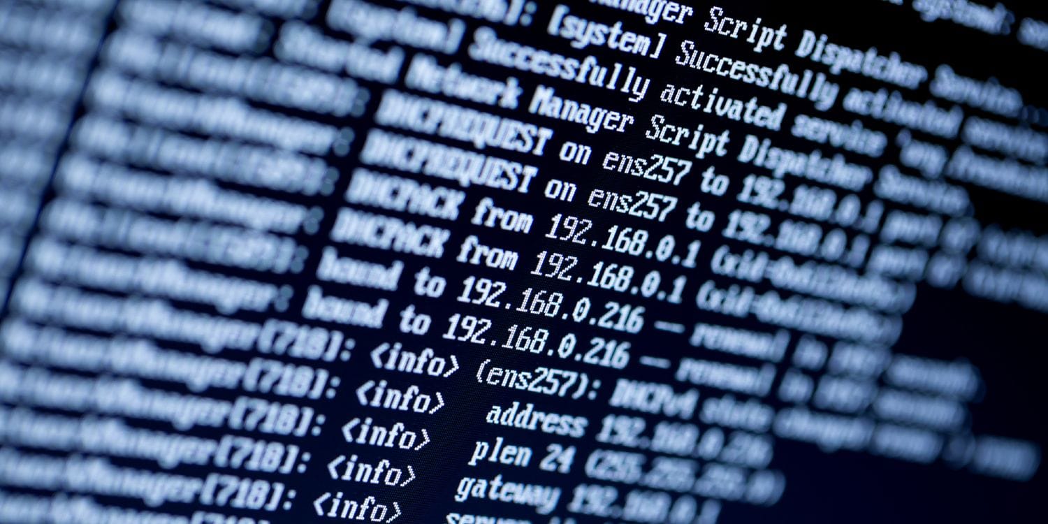 Skærm med liste over IP-adresser, sort baggrund med hvid tekst